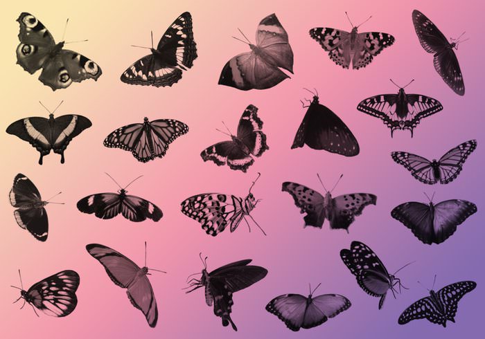 23 Free Butterfly Photoshop Brushes