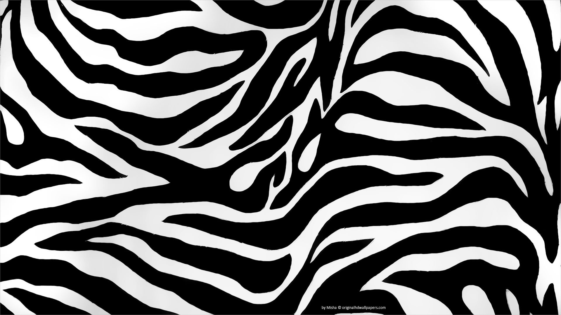 zebra animal print