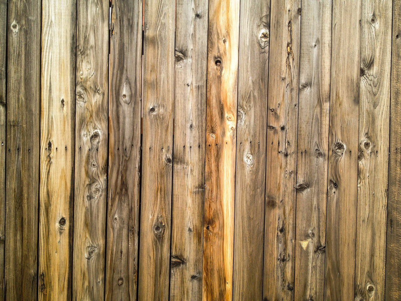 Amazing Hardwood Background For You