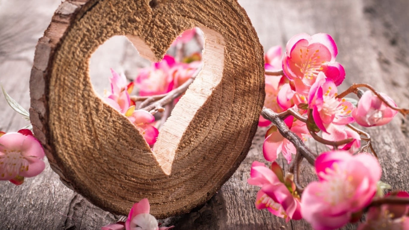 amazing pink flowers background