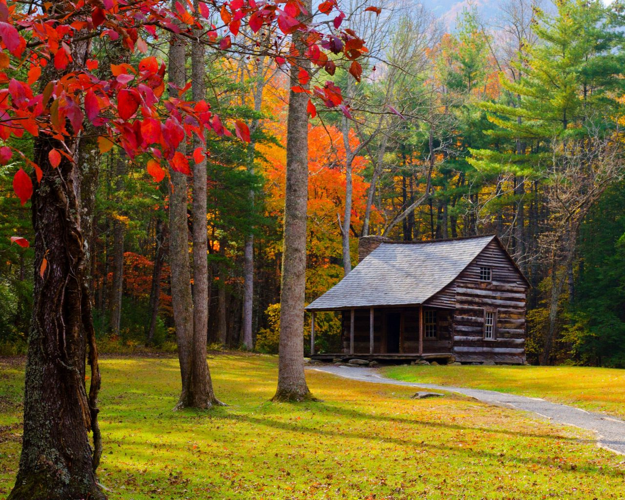 Autumn Forest House Wallpaper