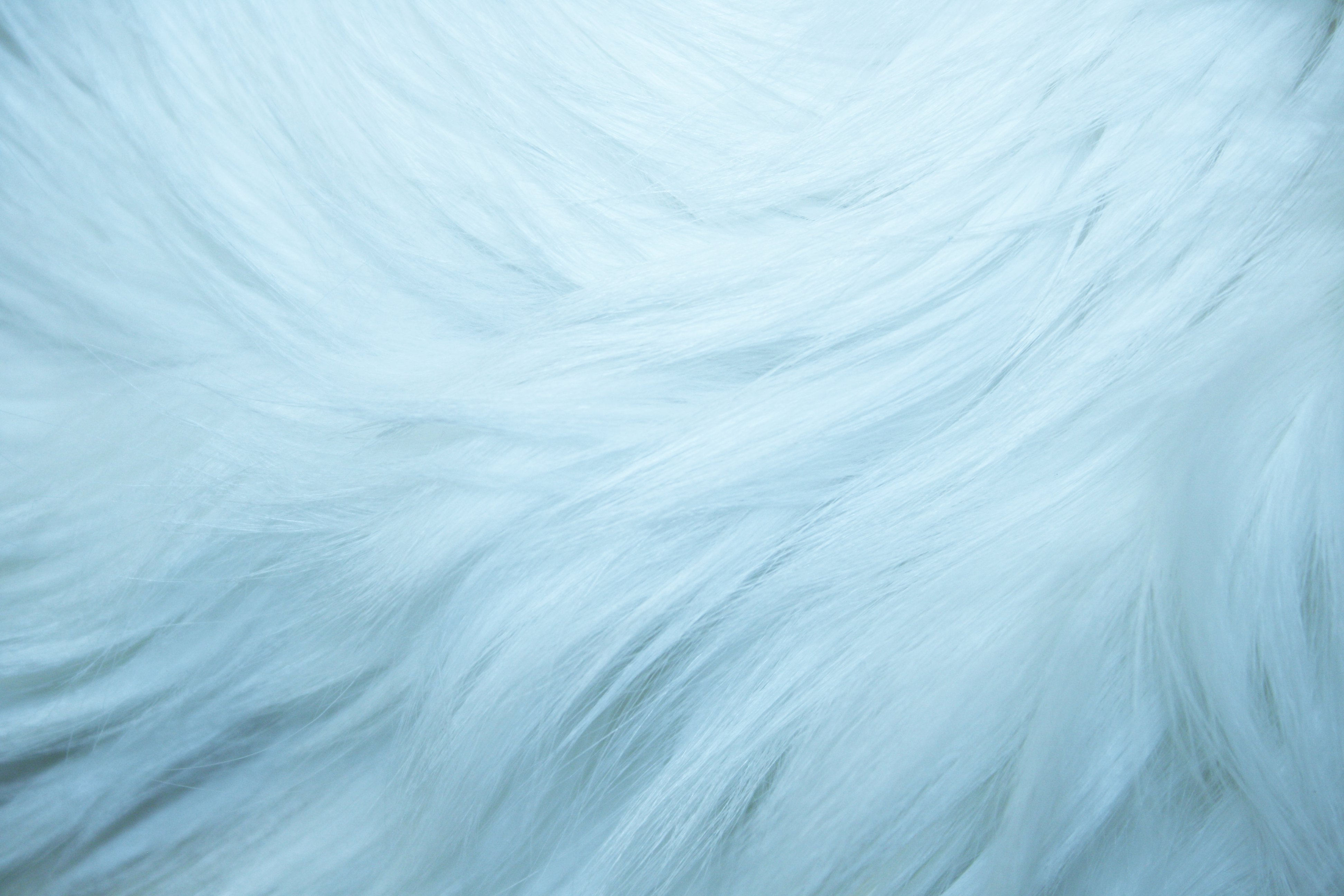 Baby Blue Fur Background For You
