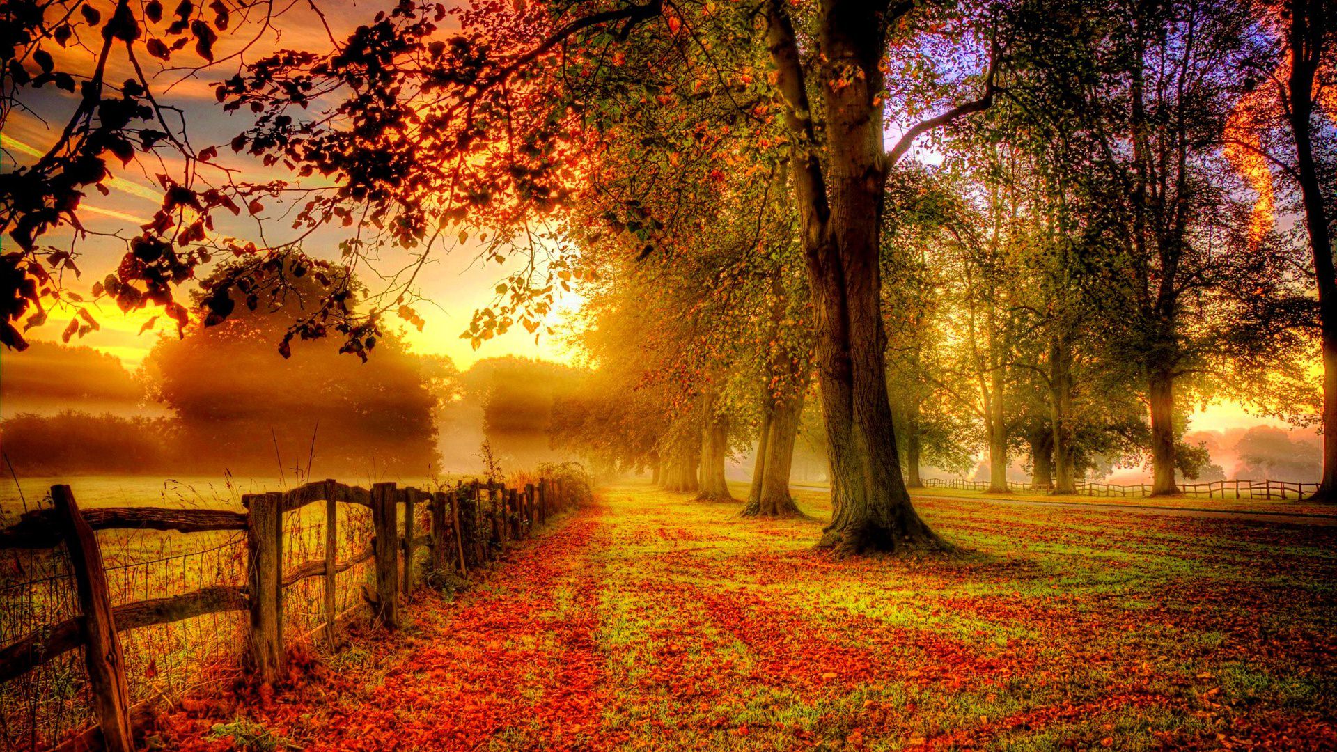 Beautiful Autumn Wallpaper For You