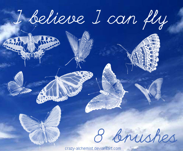 Best Butterfly Photoshop Brushes