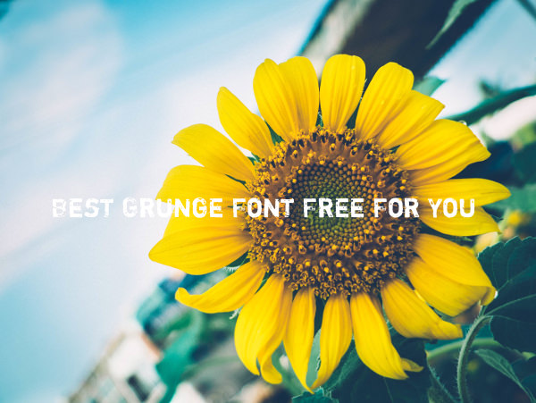 Best Grunge Font Free For You