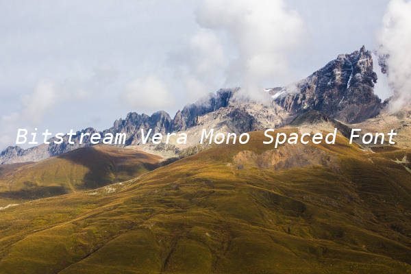 Bitstream Vera Mono Spaced Font