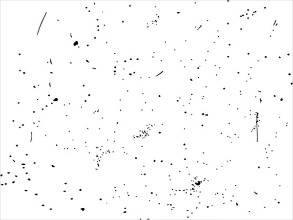 Black Speckle Vector Texture