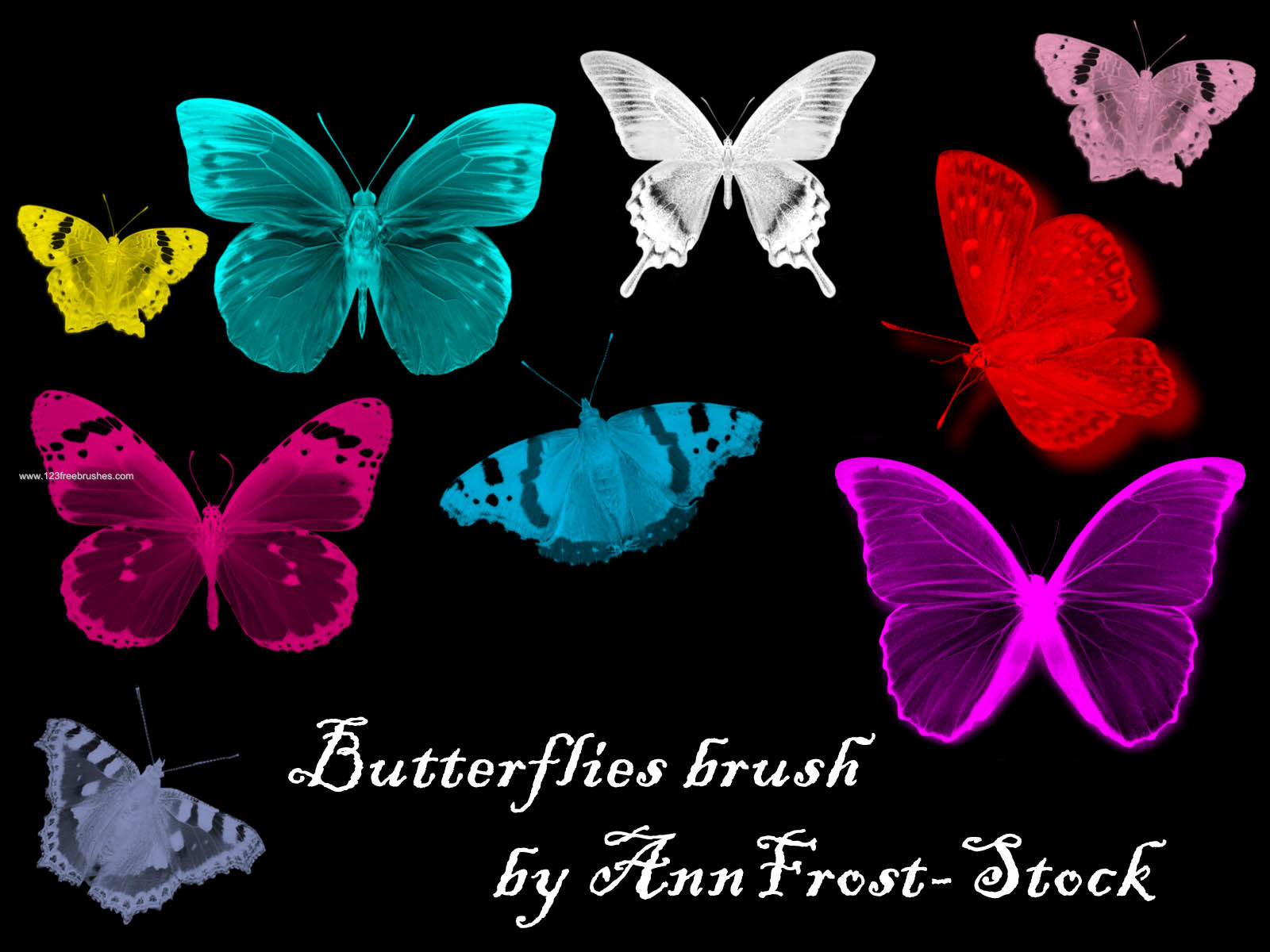 Butterflies Free Photoshop Brush Download