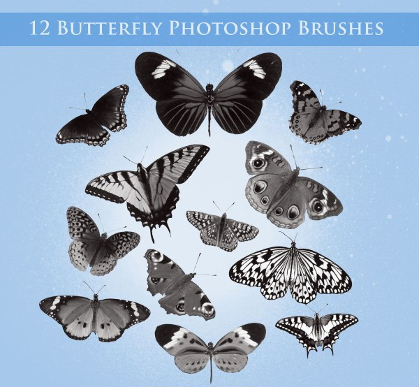 Butterfly Photoshop Brushes for Free