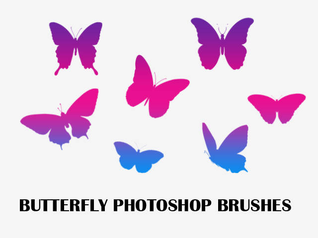 Colourfull Butterfly Photoshop Brushes