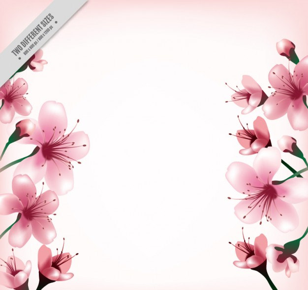Cute Cherry Blossom Flower Background