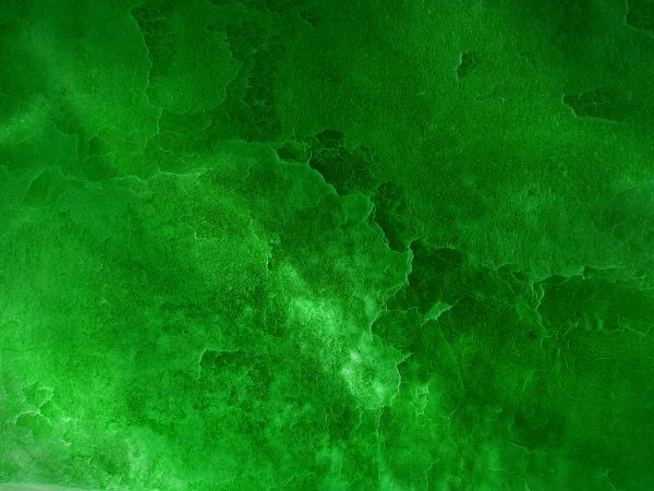 dark green grunge background