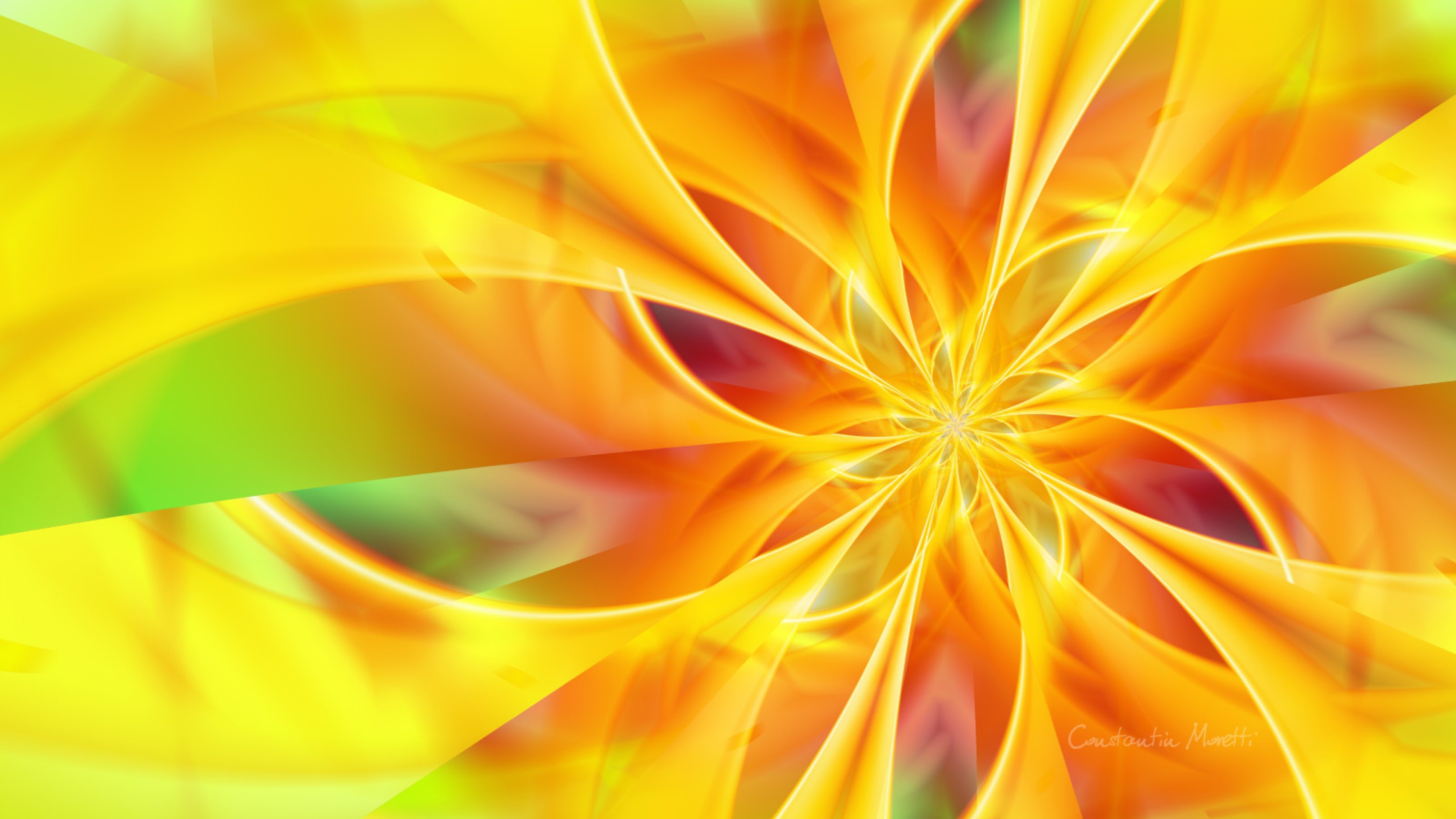 Download Colorful Yellow Flower Background