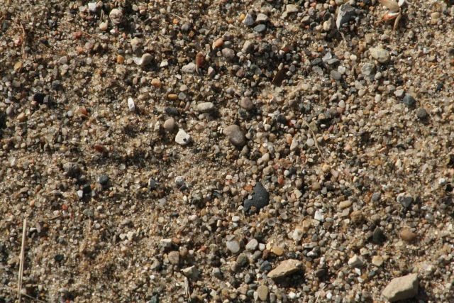 Download High Resolution Free Sand Texture