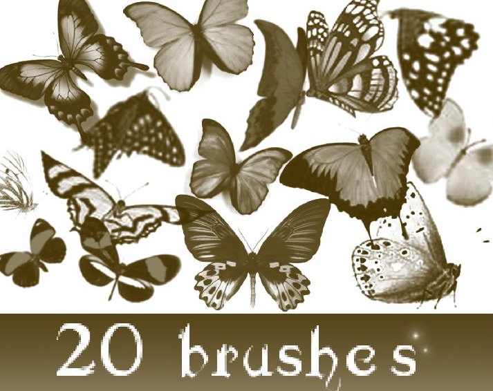 Download Photoshop Butterfly Brushes