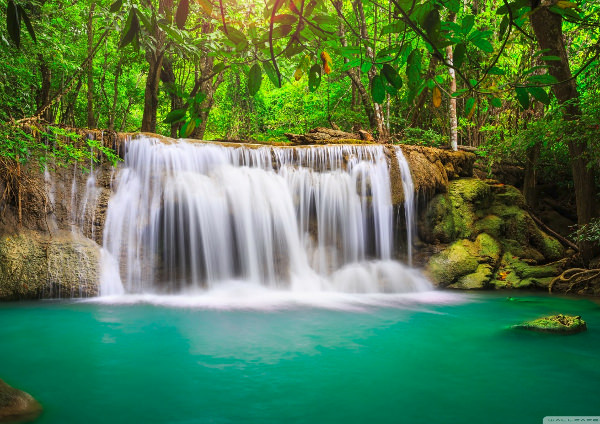 Download Rainforest Waterfall Wallpaper