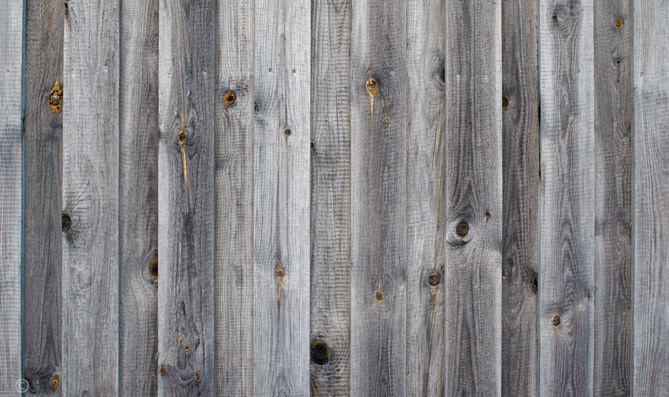 Download Wood Planks Wall Raw Weathered Background in Grey Tone