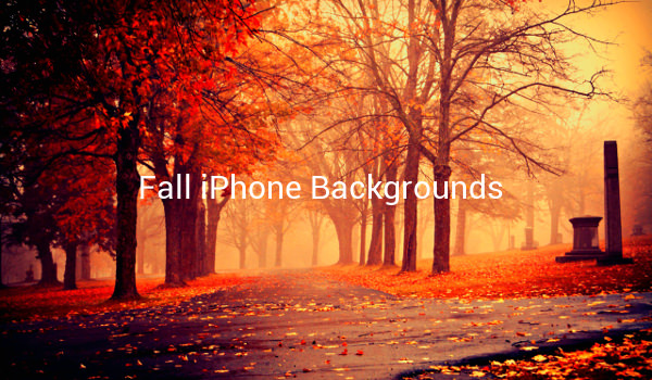 Fall iPhone Backgrounds