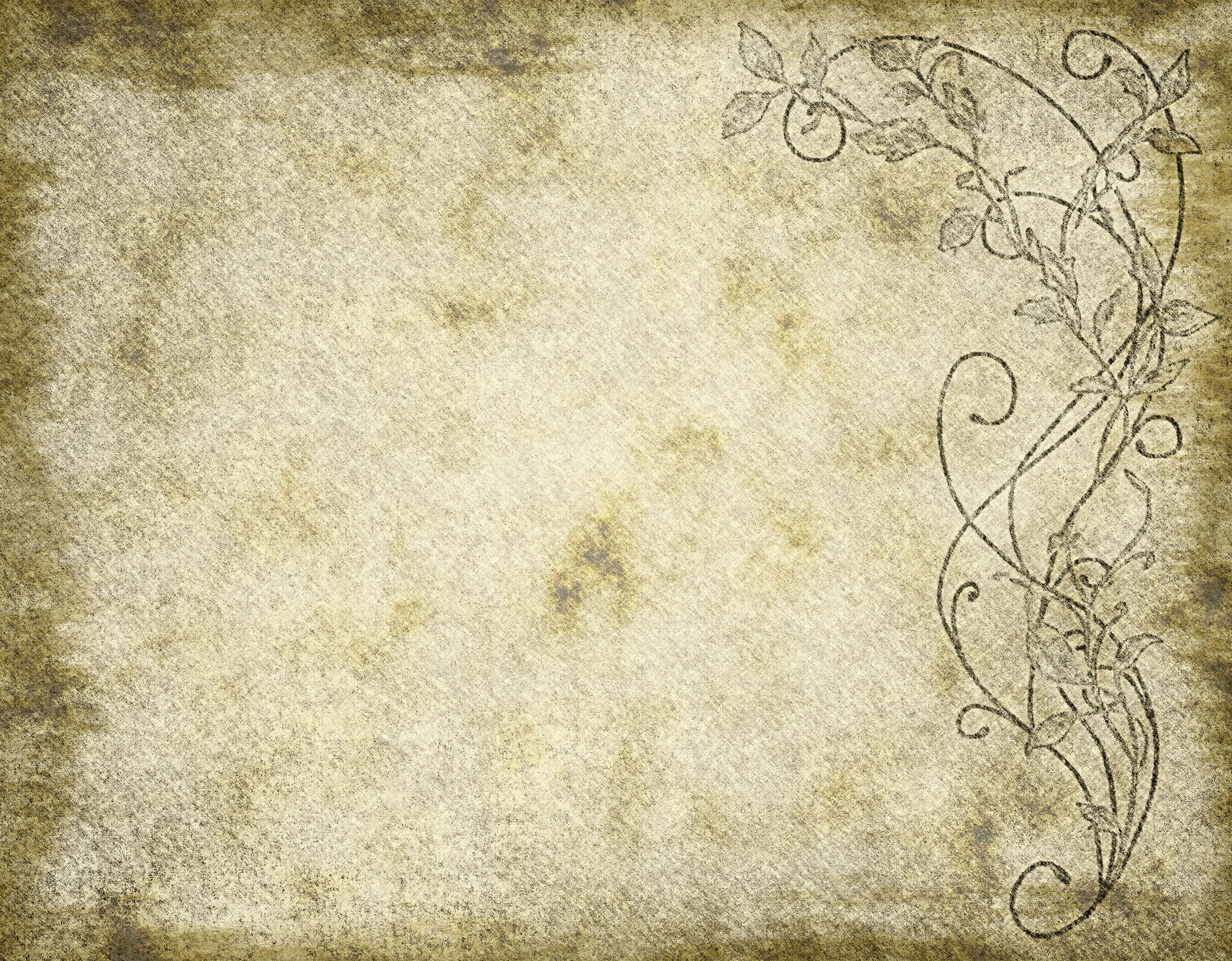 Floral Parchment paper Background Texture with Grunge Effect
