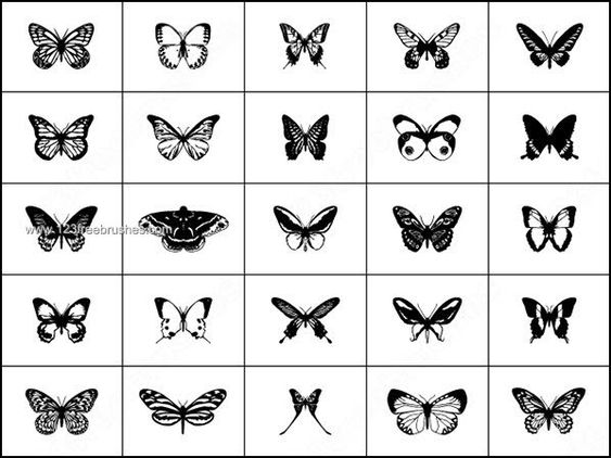 Free Butterfly Brushes for Photoshop