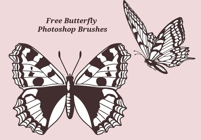 Free Butterfly Photoshop Brushes