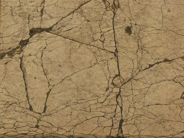 Free Concrete Texture With Thin Cracks