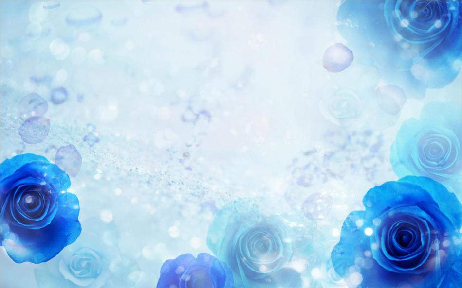 Free Cool Blue Rose Background For You