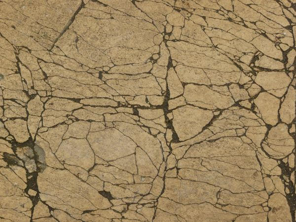 Free Cracked Beige Concrete Texture