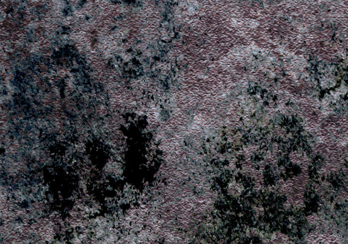 Free Old Grunge Concrete Texture For You