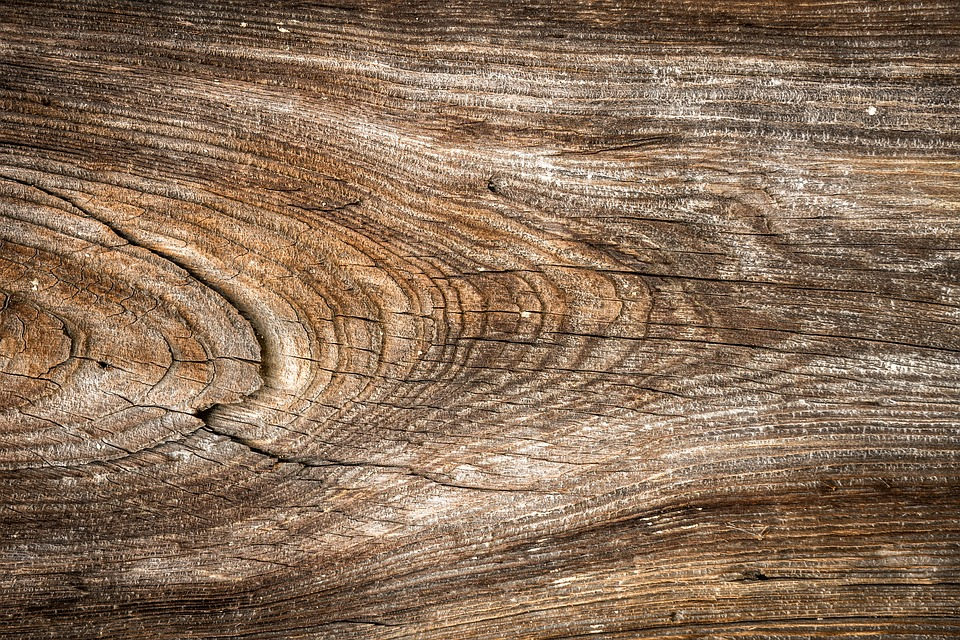 Free Wild Hardwood Background