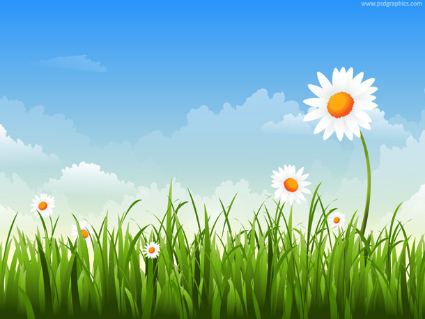 Grass with Flowers & Blue Sky Background