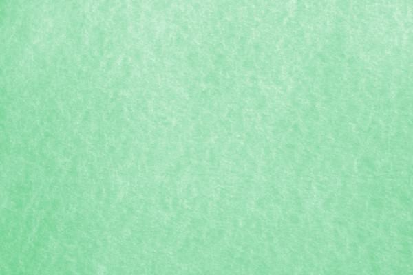 Green Parchment Paper Texture