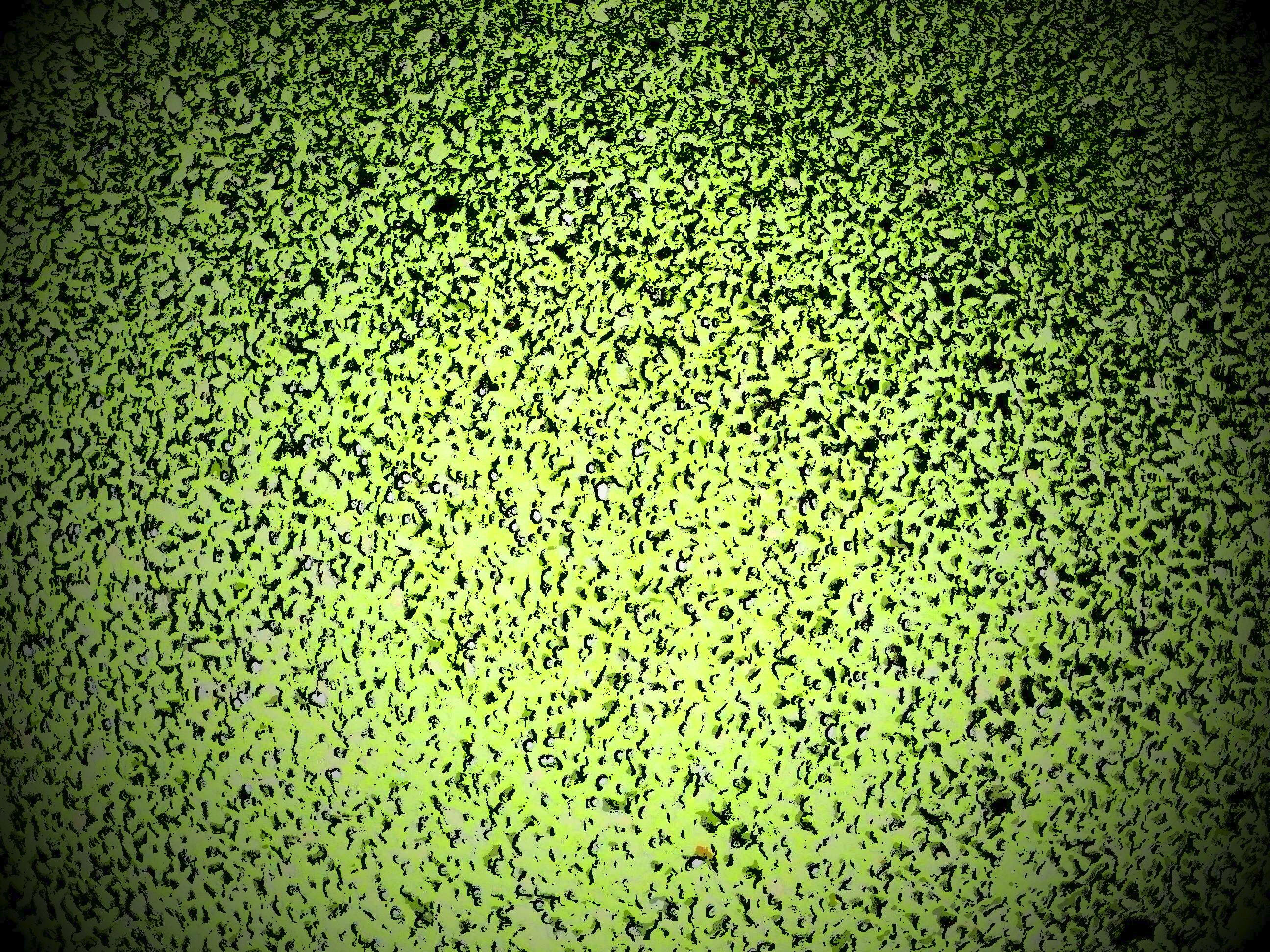 Green Speckled Vignette Vector Texture