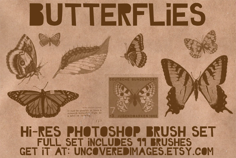 High Quality Butterflies photoshop Brushes