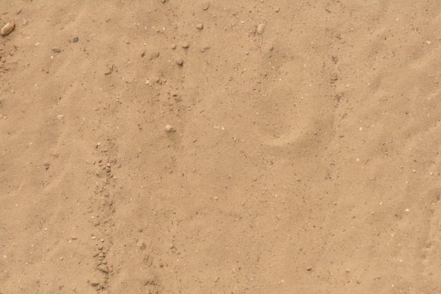 High Resolution Free Sand Texture