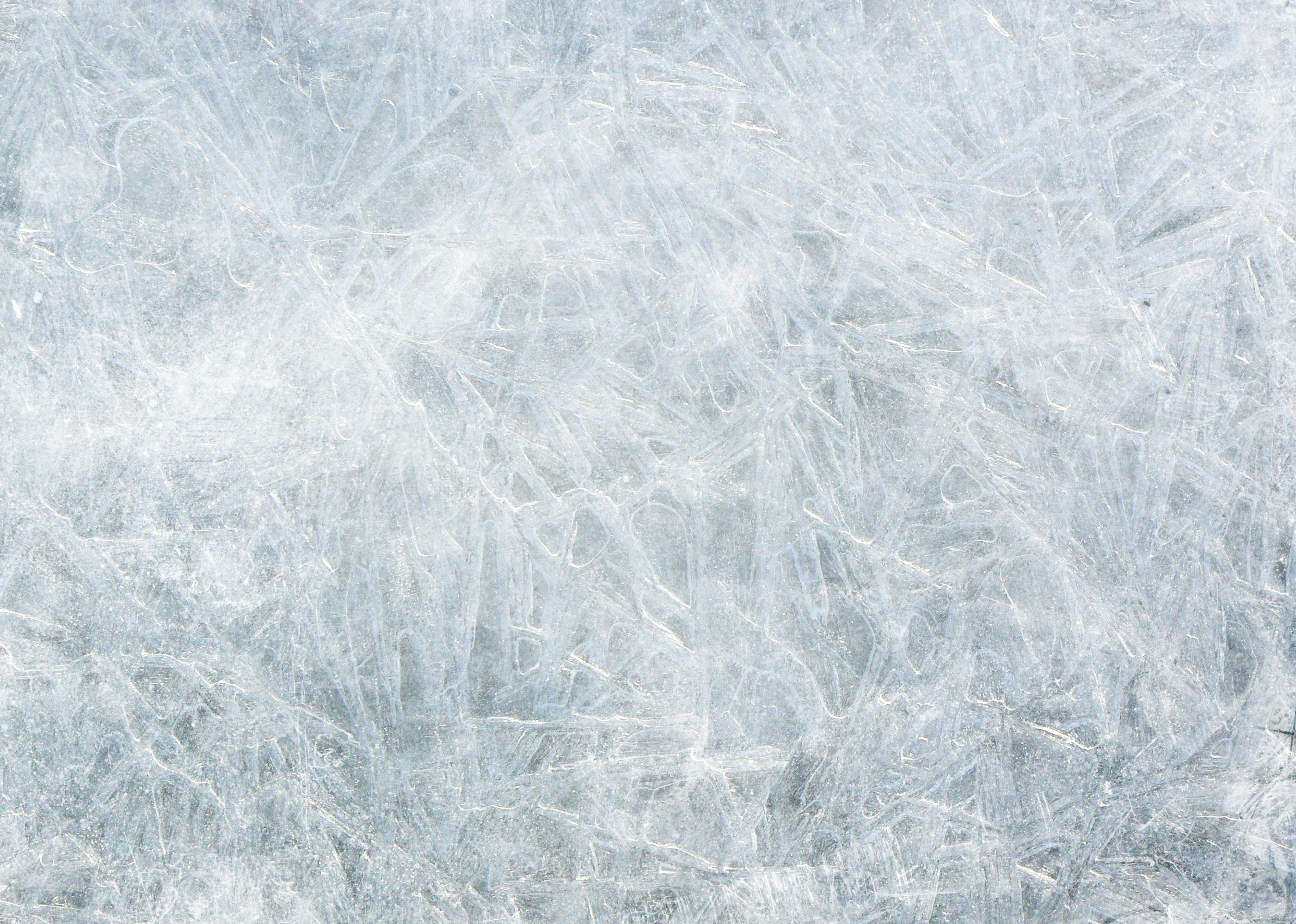 Ice Texture for free download