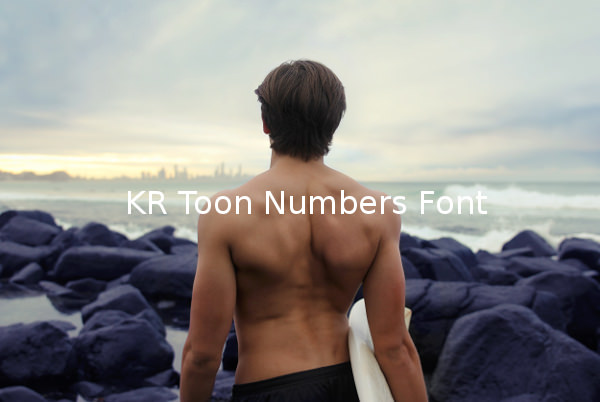 KR Toon Numbers Font