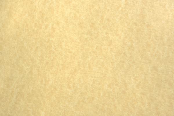 Light Colored Parchment Paper Texture