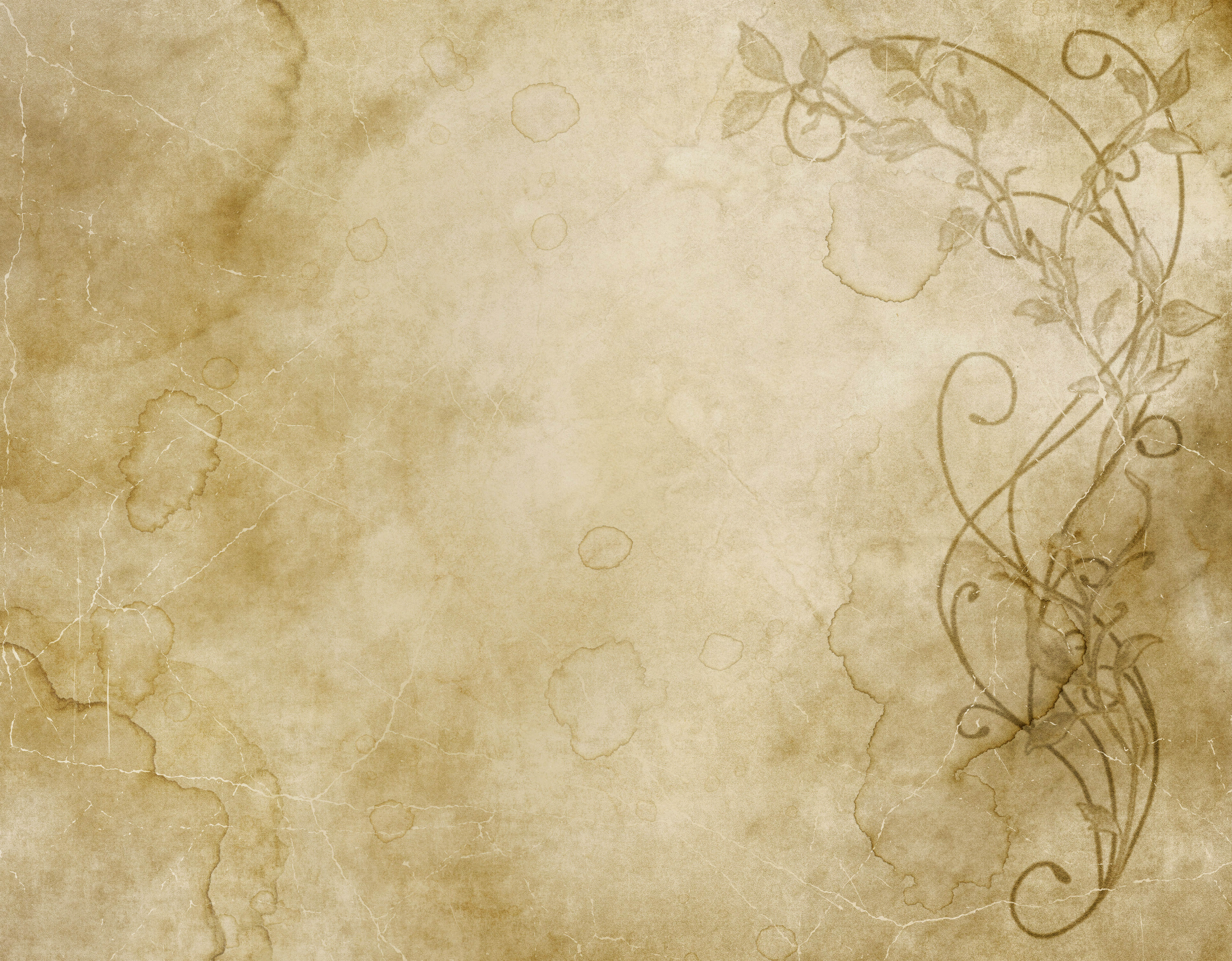 Old Floral Parchment Texture