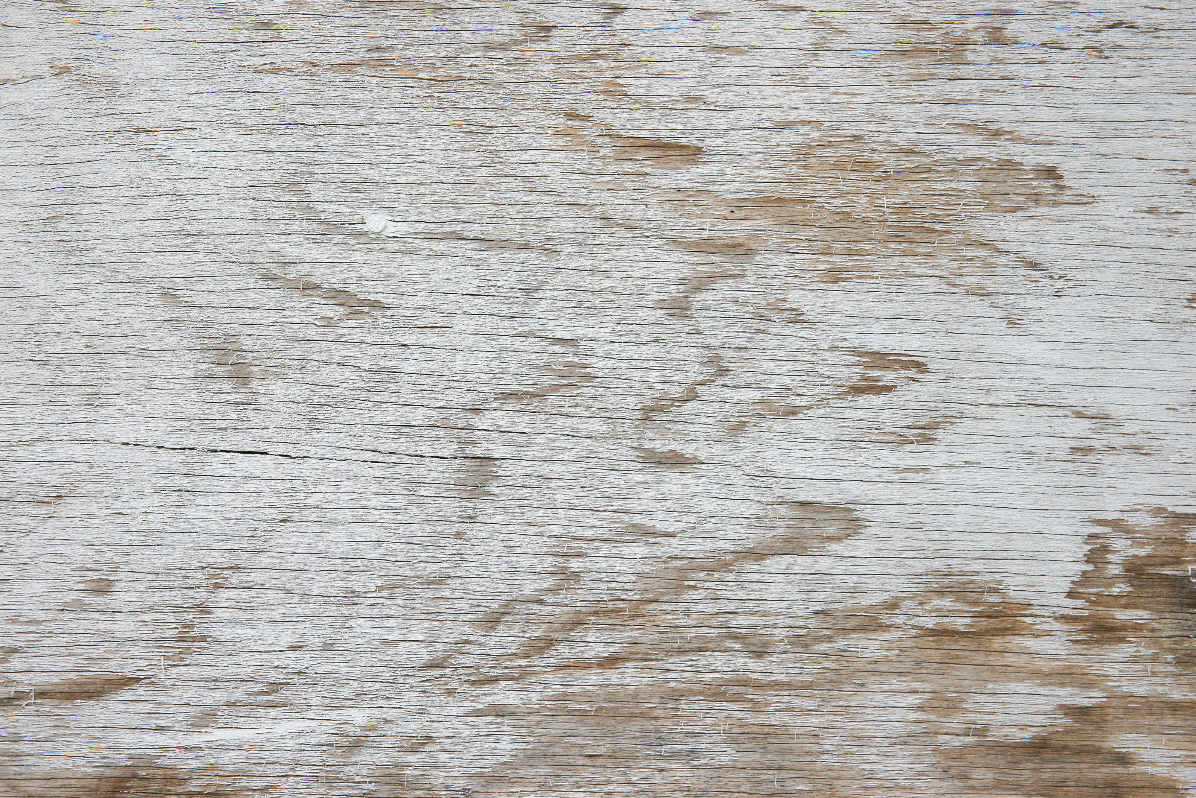 Old White Painted Wood Backgrounds