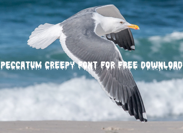 Peccatum Creepy Font For Free Download