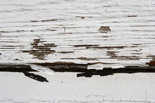 Peeling White Paint Texture