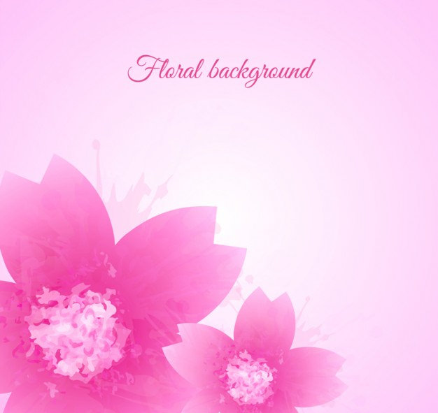 Pink Cherry Blossom Flower Background