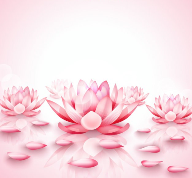 Pink Lotus Flowers Background Free Vector