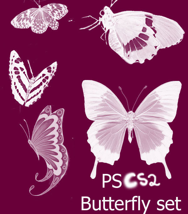 Pretty Butterfly Photoshop Brushes Set