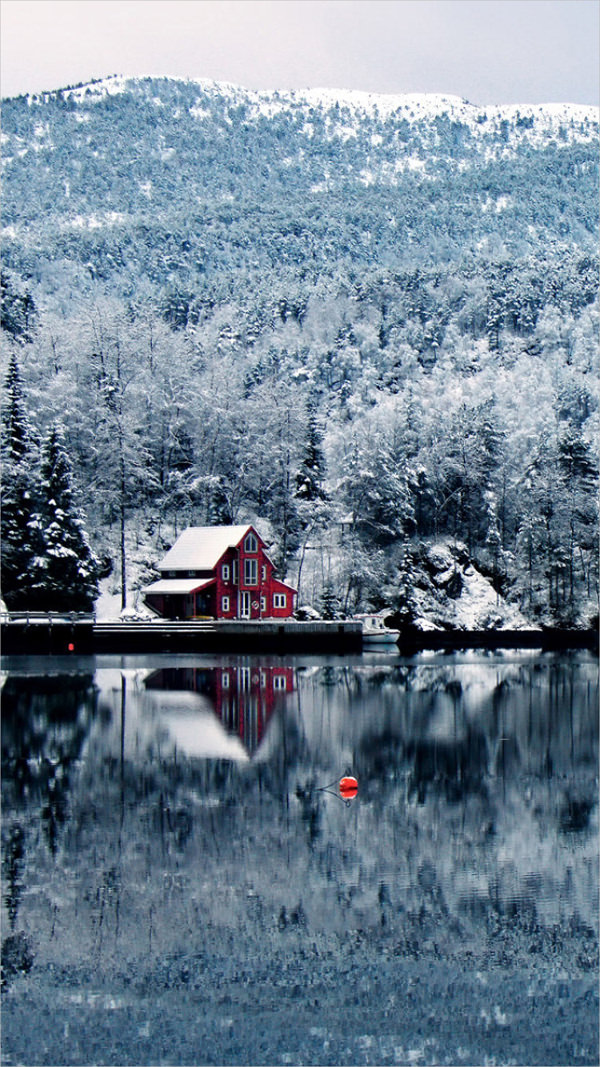 Pretty Winter Lake Scenery iPhone 6 Background