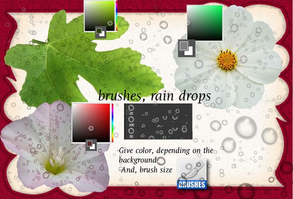 Rain Drops photoshop Brushes