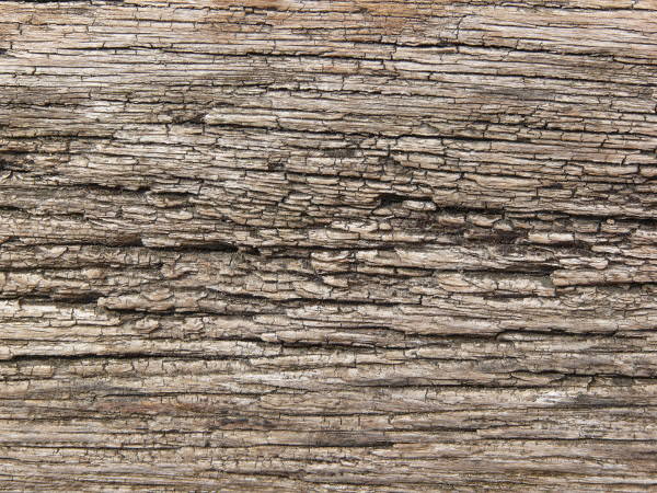 Rutted White Wood Texture