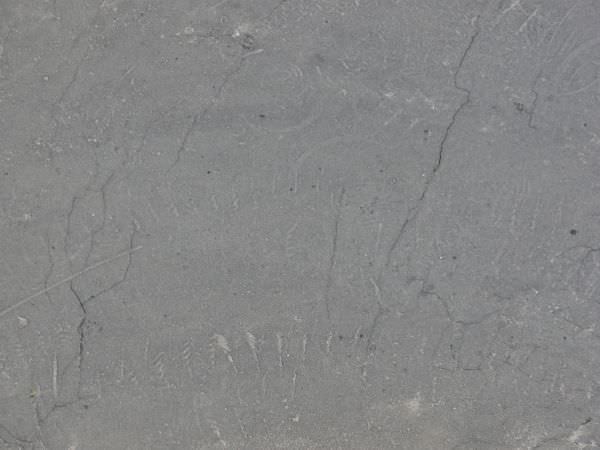 Scratched Asphalt Road Texture