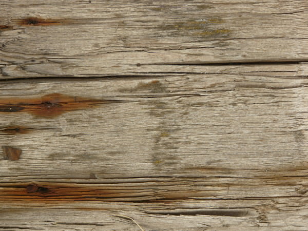 Stained White Wood Texture